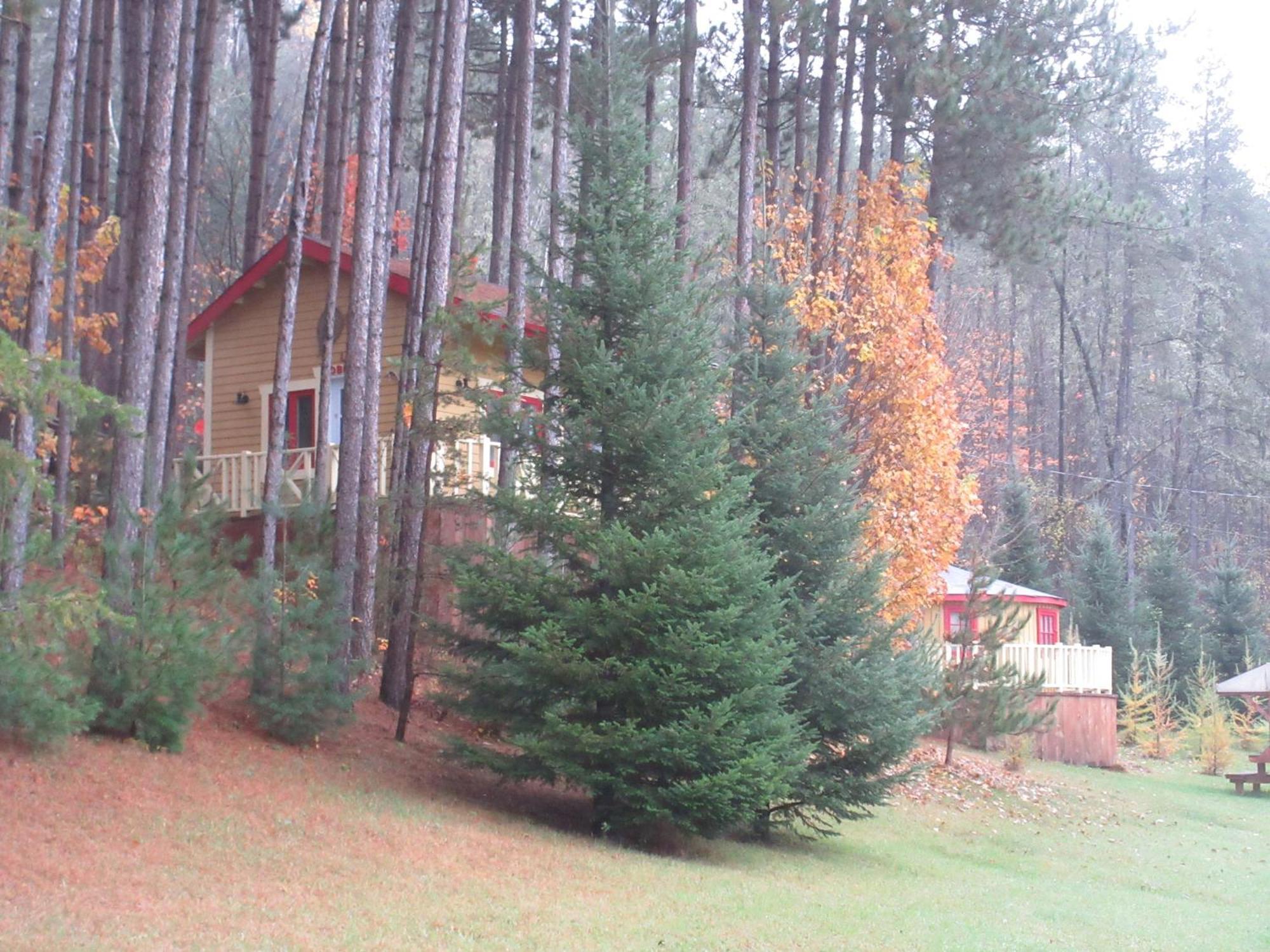 La Maison Sous Les Arbres Saint Roch de Mekinac Ngoại thất bức ảnh