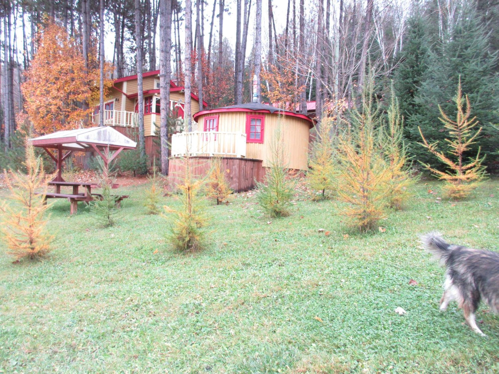 La Maison Sous Les Arbres Saint Roch de Mekinac Ngoại thất bức ảnh